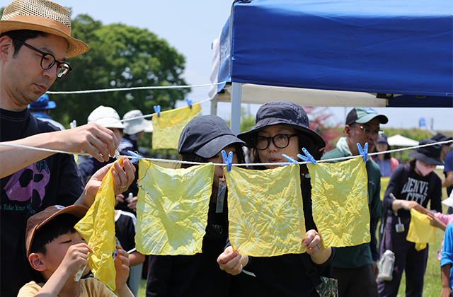 令和8年度オオキンケイギクの抜き取りと染物体験の写真