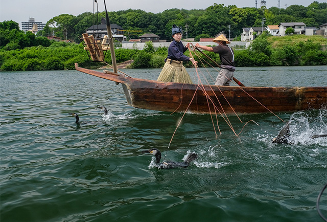 木曽川鵜飼開きの写真