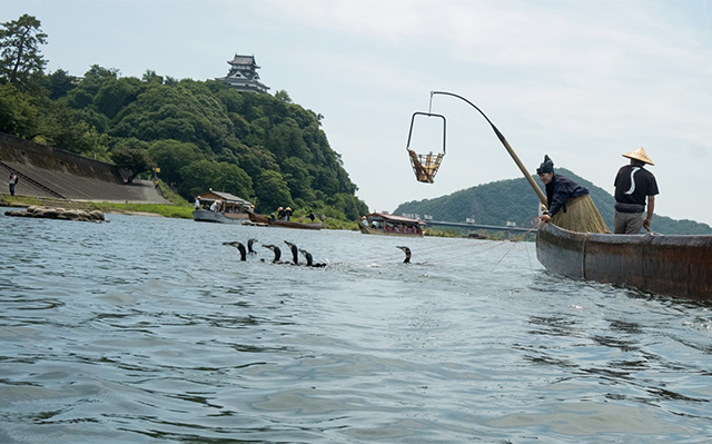 木曽川鵜飼開きの写真