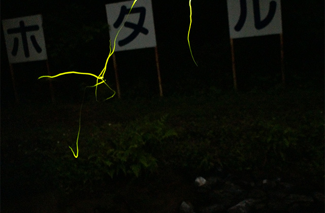 大安寺川ホタル祭りの写真