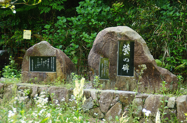 大安寺川ホタル祭りの写真