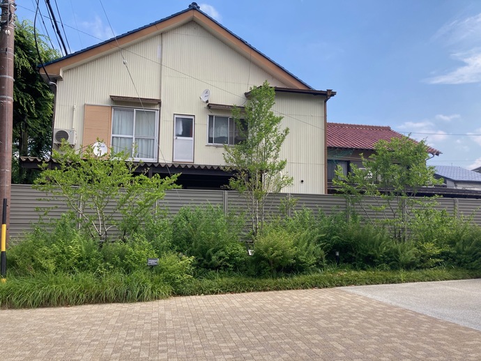 低層棟北側