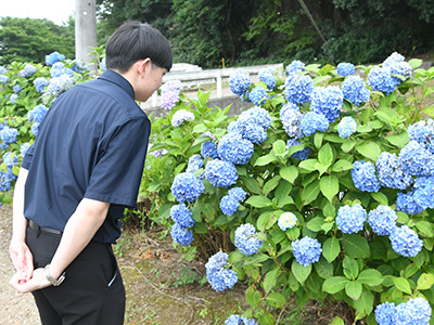 アジサイの小径を訪れた方