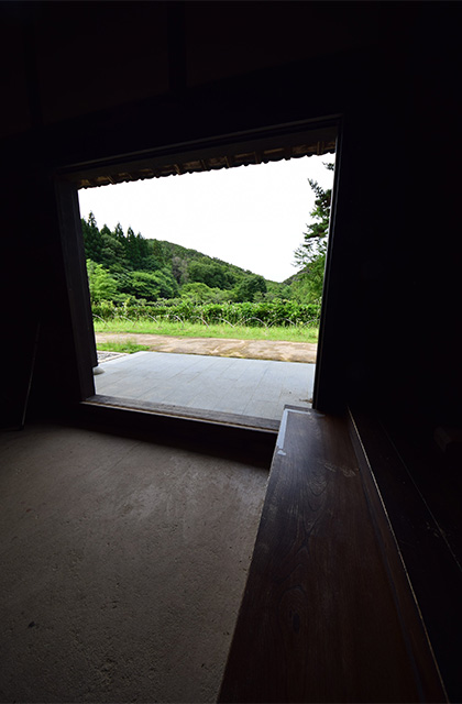 初夏、梅雨の晴れ間の各務野自然遺産の森の写真