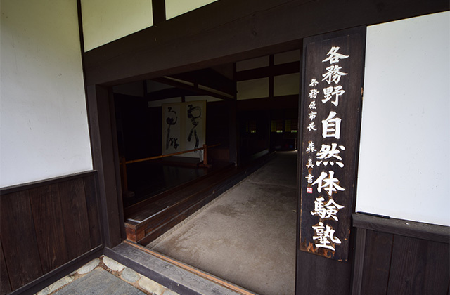 初夏、梅雨の晴れ間の各務野自然遺産の森の写真