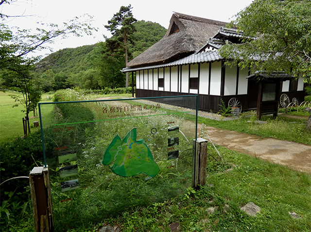 初夏、梅雨の晴れ間の各務野自然遺産の森の写真