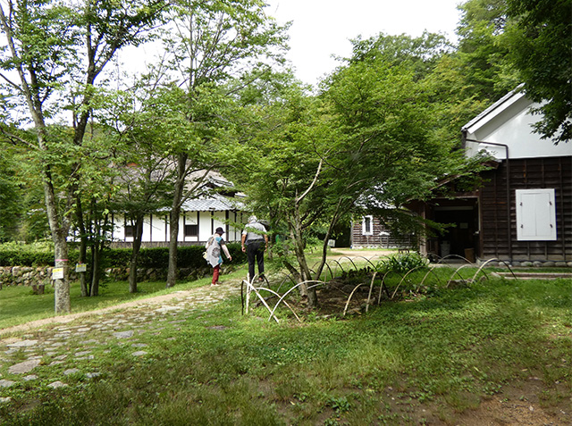 初夏、梅雨の晴れ間の各務野自然遺産の森の写真