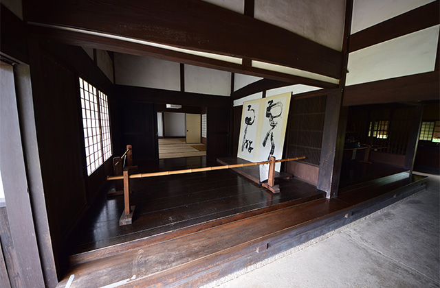 初夏、梅雨の晴れ間の各務野自然遺産の森の写真