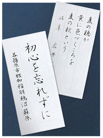 作品写真