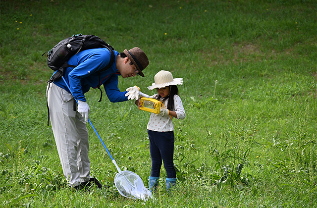 親子で楽しもう！ 真夏の虫とり体験の写真