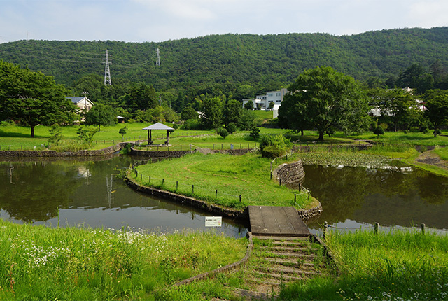 蘇原自然公園に咲くスイレンの写真