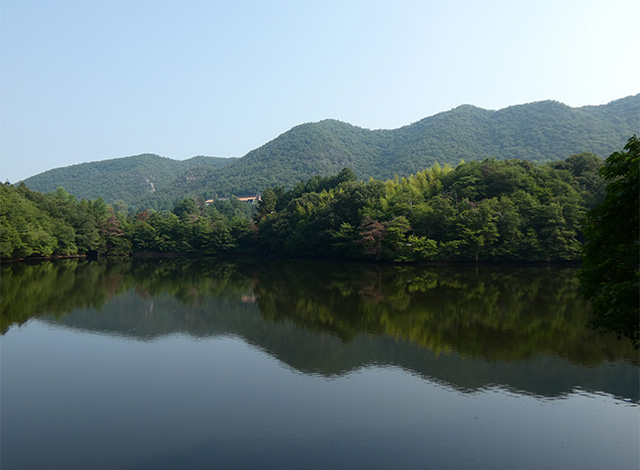 夏の寒洞池周回の写真