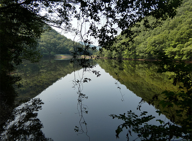 夏の寒洞池周回の写真