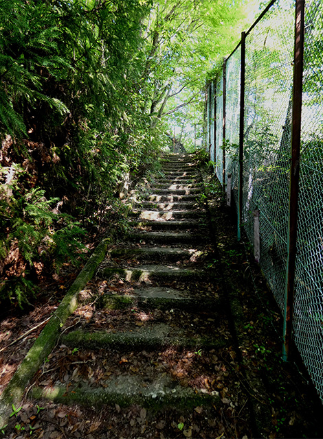 夏の寒洞池周回の写真
