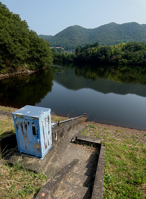 夏の寒洞池周回の写真