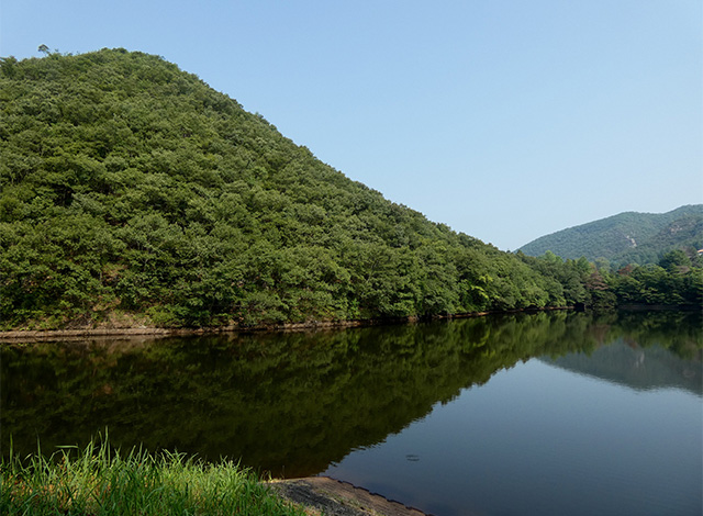 夏の寒洞池周回の写真