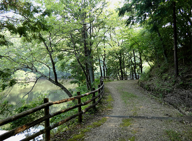夏の寒洞池周回の写真
