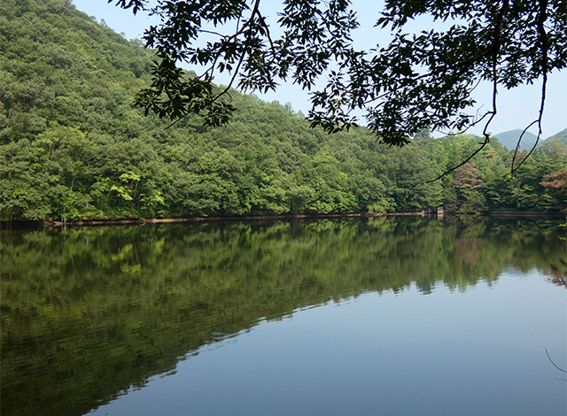 夏の寒洞池周回の写真