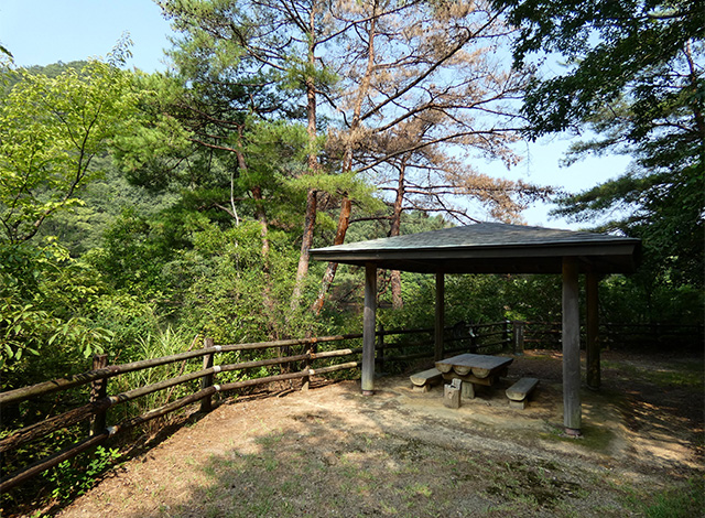 夏の寒洞池周回の写真