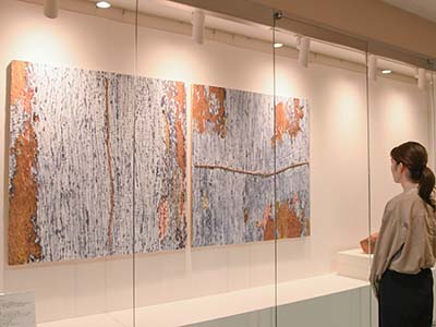 展示を鑑賞する人