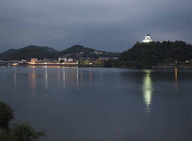 日本ライン夏まつりロングラン花火の写真
