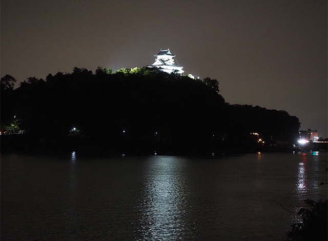 日本ライン夏まつりロングラン花火の写真