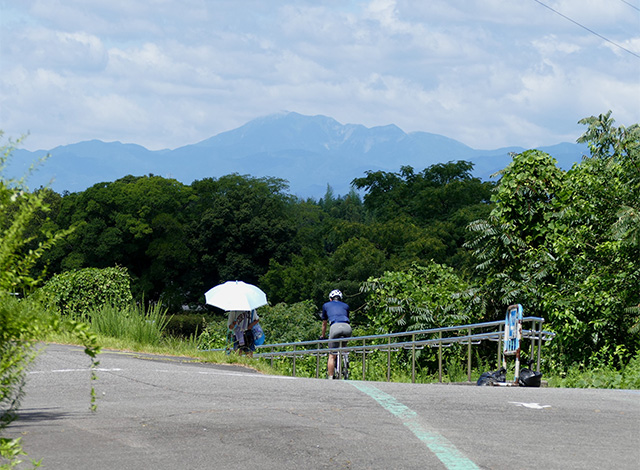 花咲く夏の河川環境楽園・木曽川水園の写真