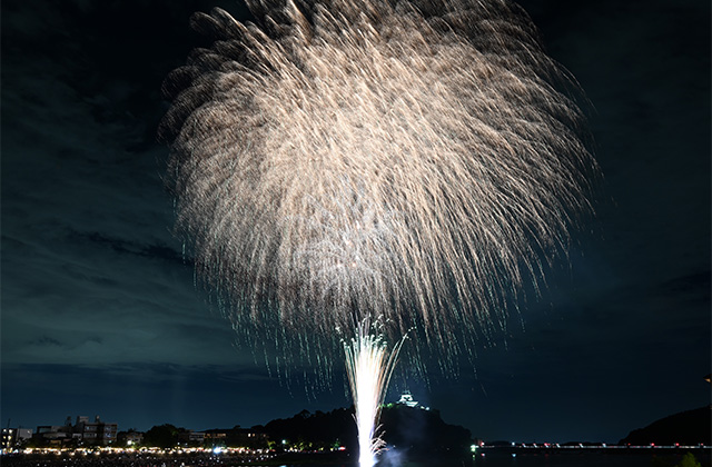日本ライン夏まつり ロングラン花火の写真