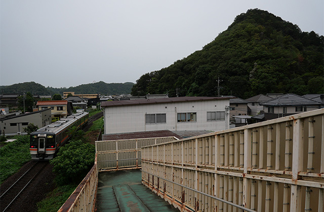 仙人草や百日草が咲く、夏の終わりの貞照寺の写真