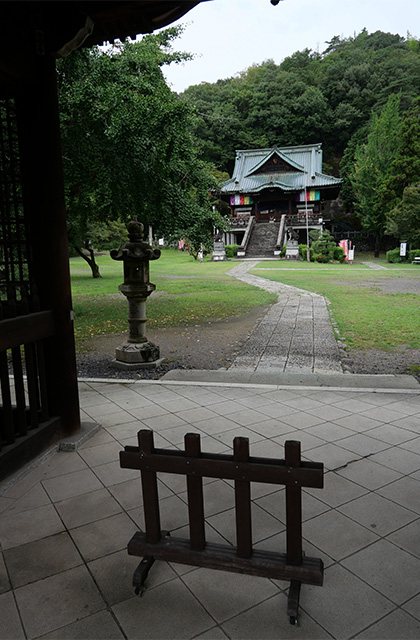 仙人草や百日草が咲く、夏の終わりの貞照寺の写真