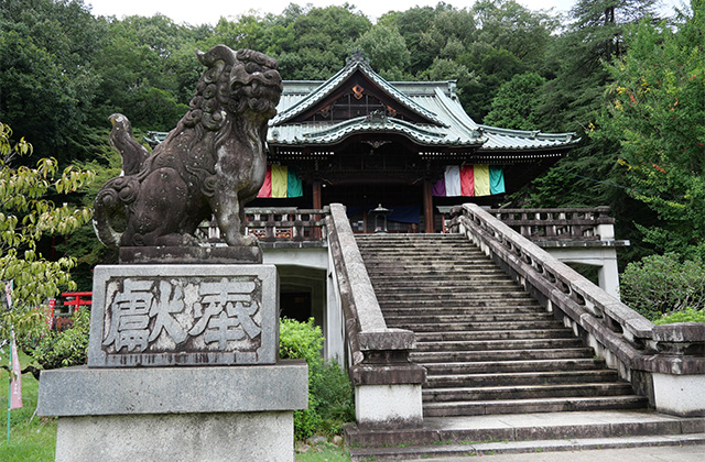 仙人草や百日草が咲く、夏の終わりの貞照寺の写真