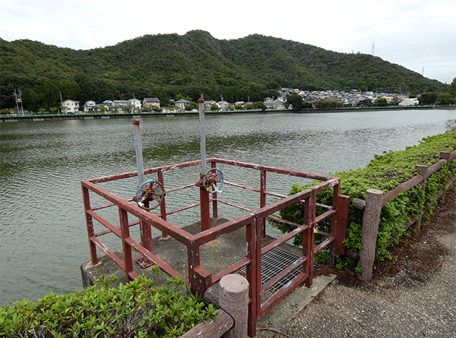 秋雨の合間のおがせ池の写真