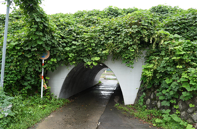 皆楽座と坊の塚古墳、鵜沼羽場町の情緒ある町並みの写真