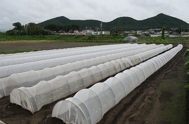 皆楽座と坊の塚古墳、鵜沼羽場町の情緒ある町並みの写真