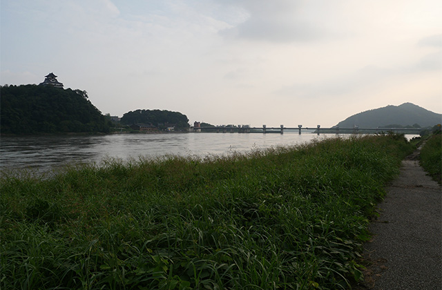 増水した木曽川と濁流に洗われた河畔遊歩道の写真