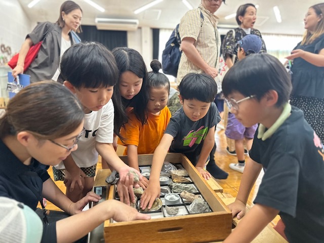 本物の化石に触ろう