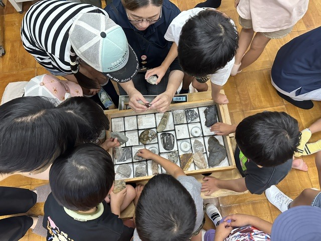 いろんな化石があるんだね！