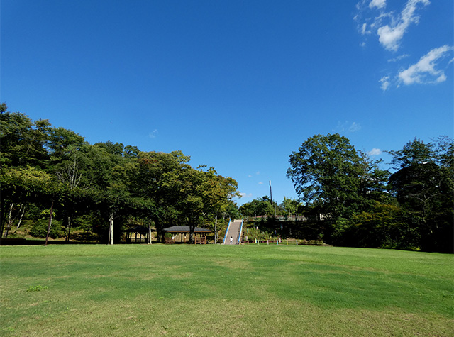 彼岸花の咲き始めた 緑あふれる各務原公園の写真