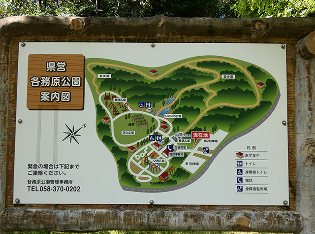 彼岸花の咲き始めた 緑あふれる各務原公園の写真