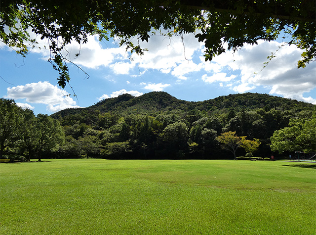 彼岸花の咲き始めた 緑あふれる各務原公園の写真