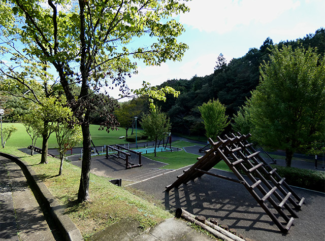 彼岸花の咲き始めた 緑あふれる各務原公園の写真