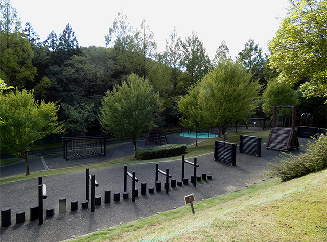 彼岸花の咲き始めた 緑あふれる各務原公園の写真
