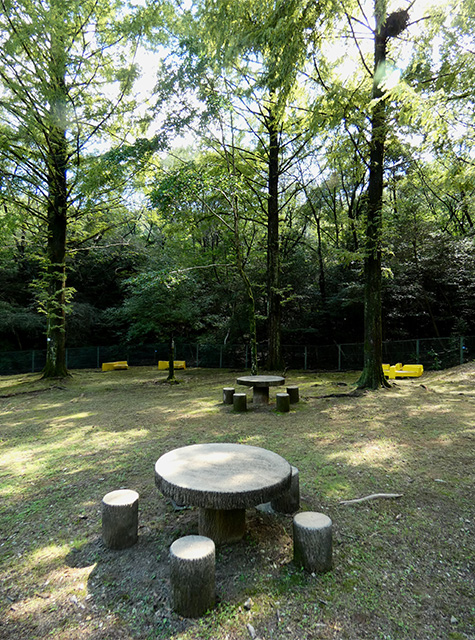 彼岸花の咲き始めた 緑あふれる各務原公園の写真