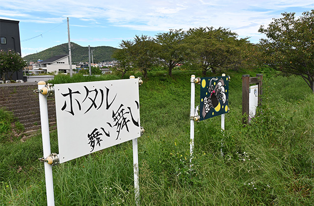 大安寺川に咲く彼岸花の写真