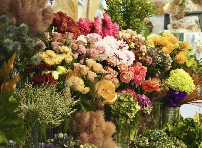 Florist Doux Temps.1