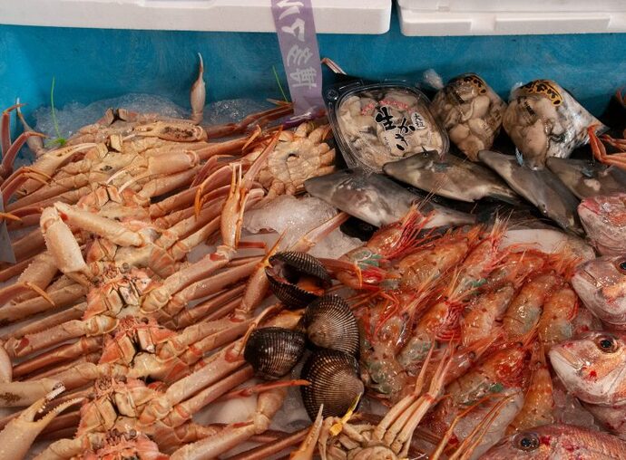 鮮魚の楽笑3