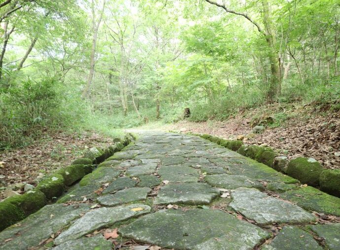 日本ラインうぬまの森2