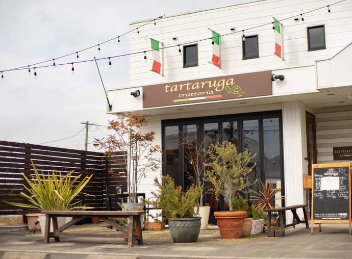 Trattoria tartaruga