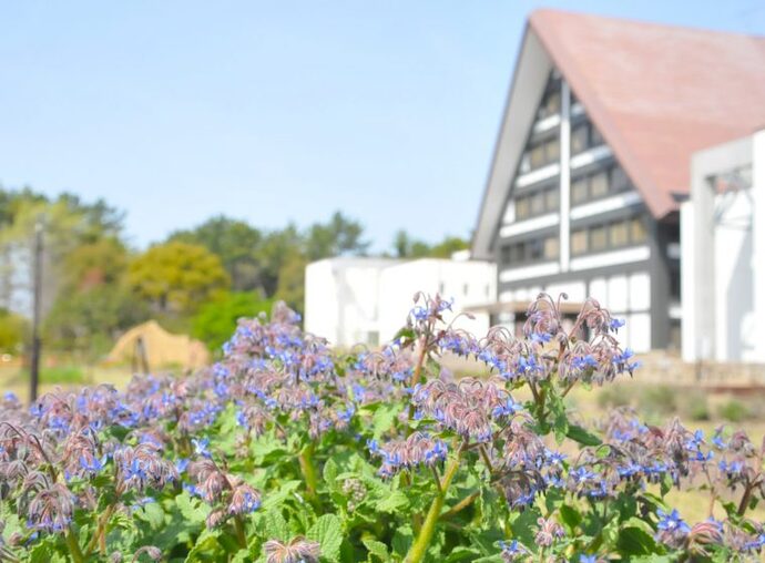 内藤記念くすり博物館1