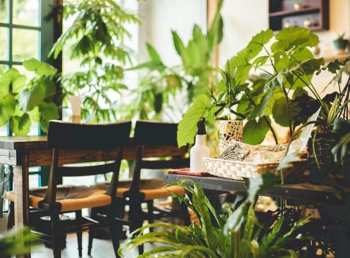 カフェ＆バル Botanico1
